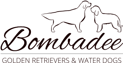 Bombadee GOLDEN RETRIEVER & WATER DOGS